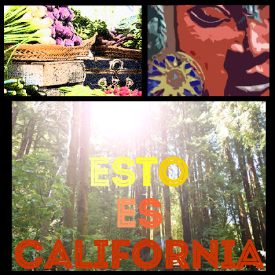 collage viaje california